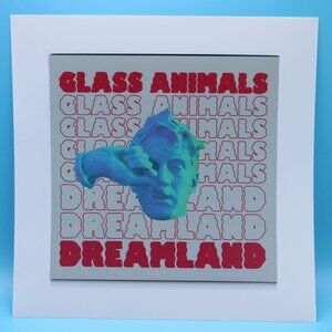 Glass Animals Dreamland 12in X 12in 1 Sided Promotional Flat Lithograph On PVC